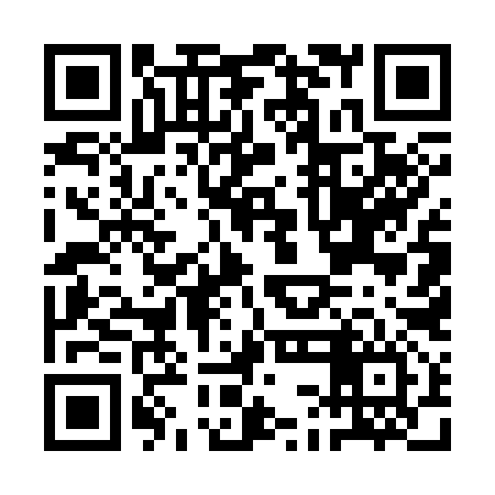 QR code for ACE396