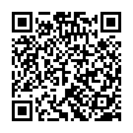 QR code for ACE878