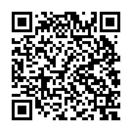 QR code for AFV221