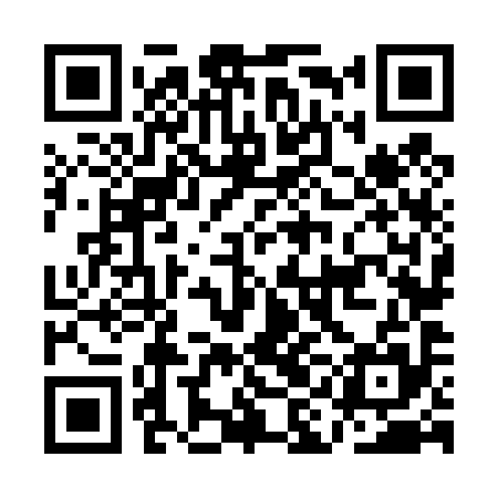 QR code for AIN495