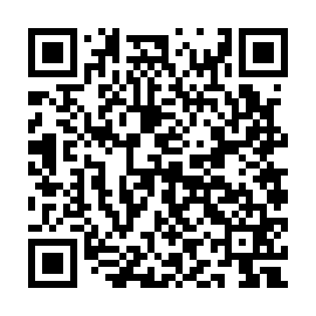 QR code for AIV161