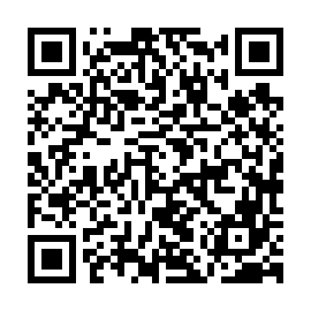 QR code for AMX666
