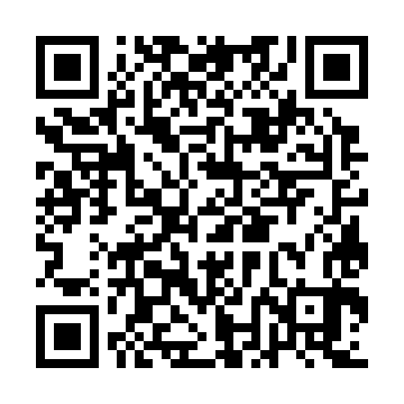 QR code for ANG383
