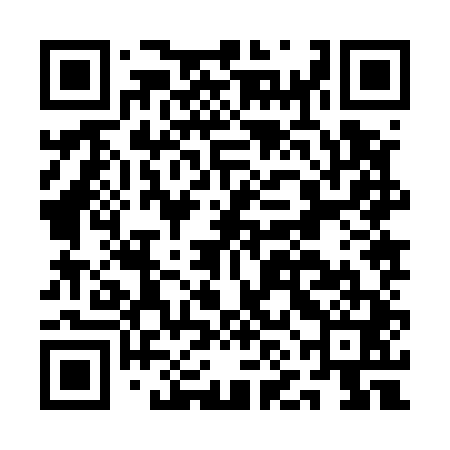 QR code for ANJ541