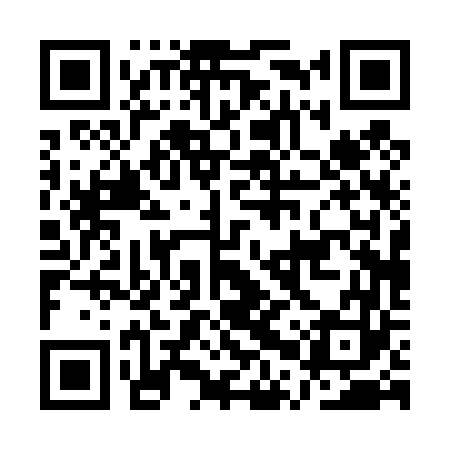 QR code for APP463