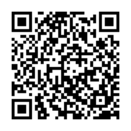 QR code for APS394