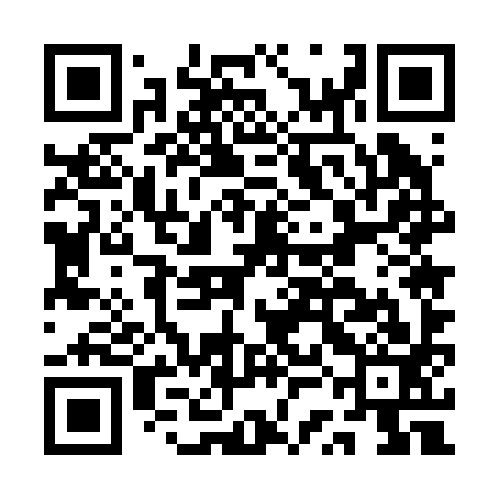 QR code for ASE293