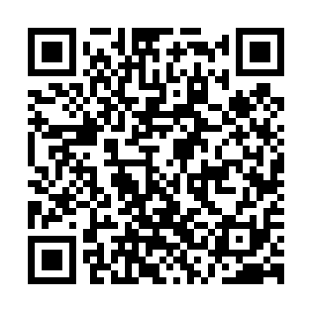 QR code for ASF411