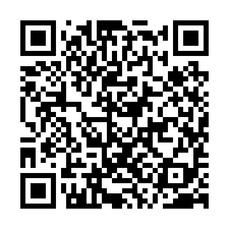 QR code for ASI299