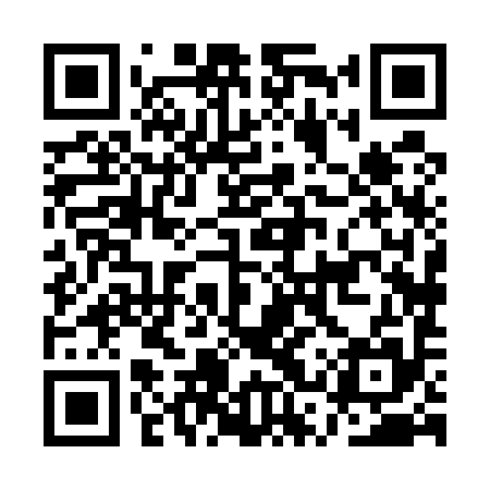 QR code for ASX595