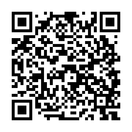 QR code for AWV383
