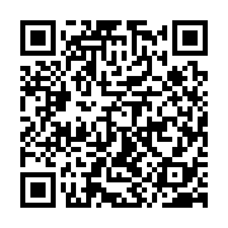 QR code for AYU338