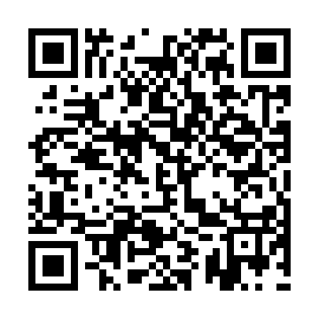 QR code for AYU917