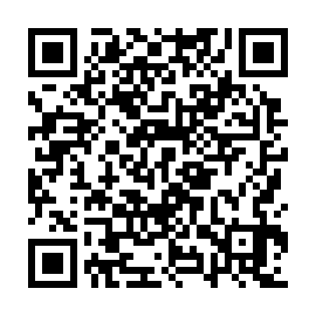 QR code for AYX333