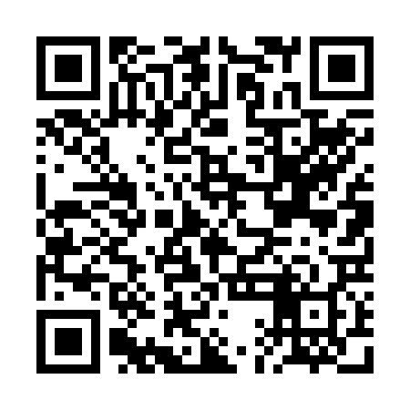 QR code for BAD228