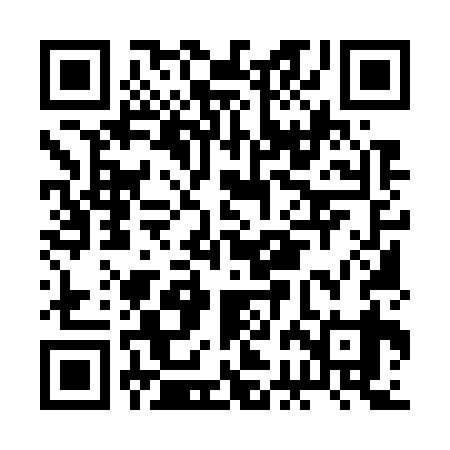 QR code for BBM739