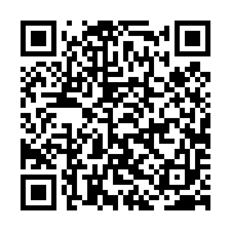 QR code for BDT493