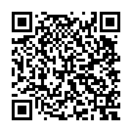 QR code for BDZ411