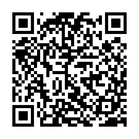 QR code for BFQ541