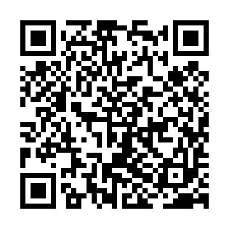QR code for BHI493