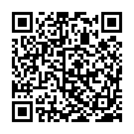 QR code for BHZ513