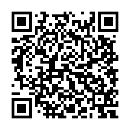 QR code for BIN515
