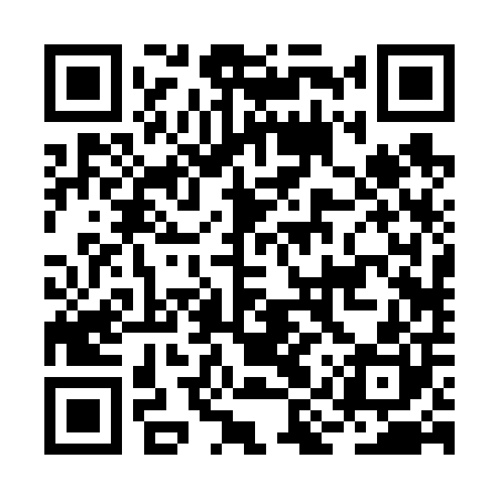 QR code for BIR600