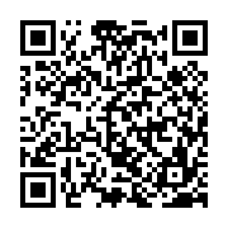 QR code for BIU036