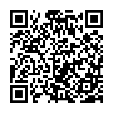 QR code for BIZ502