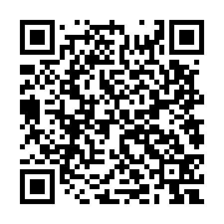 QR code for BLF533