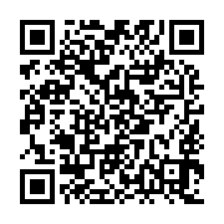 QR code for BLN993