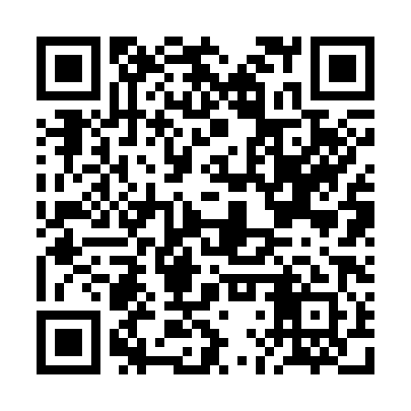 QR code for BLR381