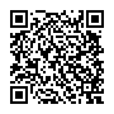 QR code for BLR489