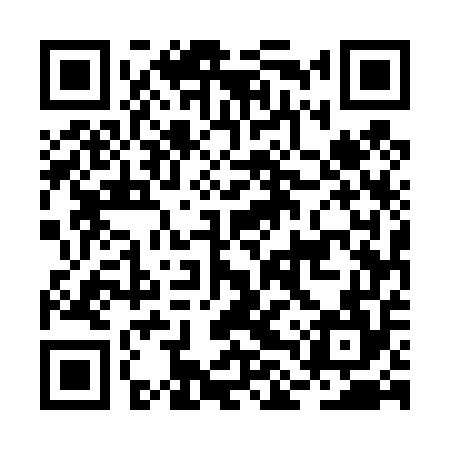 QR code for BLU454