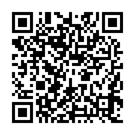 QR code for BOR959