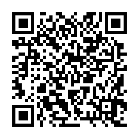 QR code for BSI384