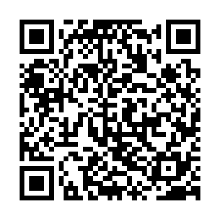 QR code for BTF335