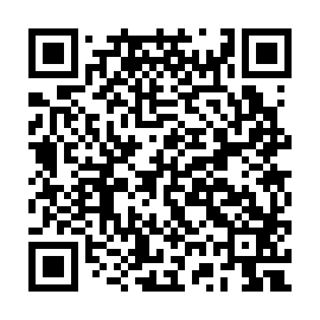 QR code for BWS383