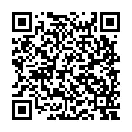 QR code for CAP197
