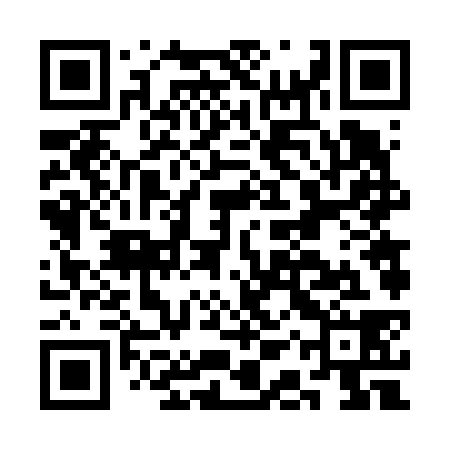 QR code for CAV638
