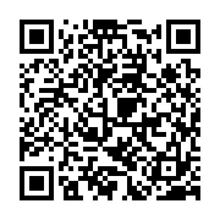 QR code for CEI333