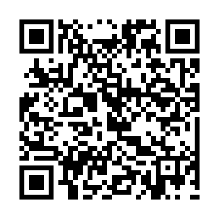 QR code for CER385