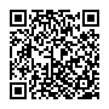 QR code for CHM294
