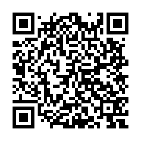 QR code for CHO573