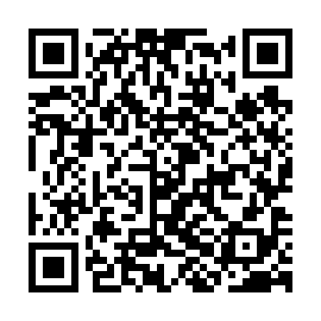 QR code for CHO698