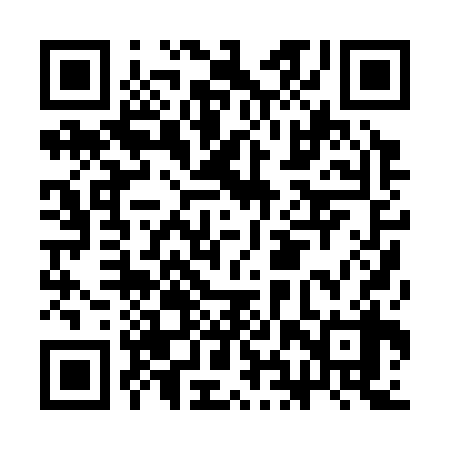 QR code for CHP338