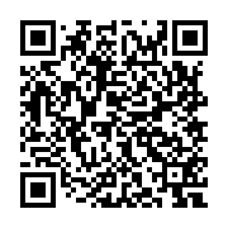 QR code for CHZ951