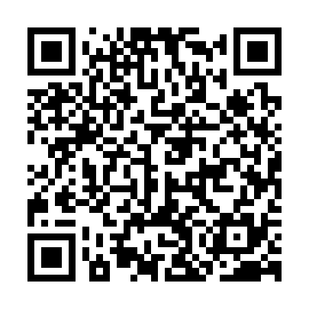 QR code for COE335