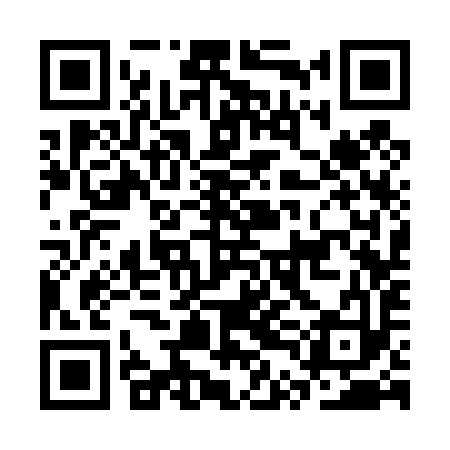 QR code for CTC493