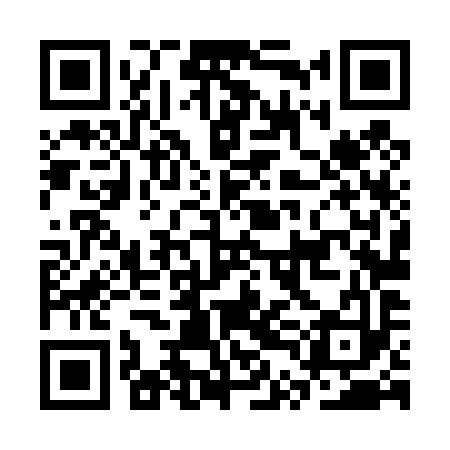 QR code for CTL493
